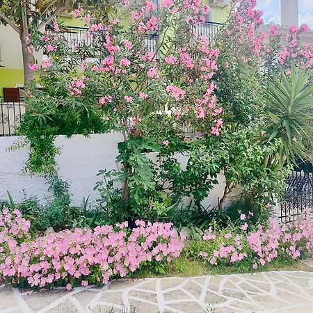 Alexandra'S House-2